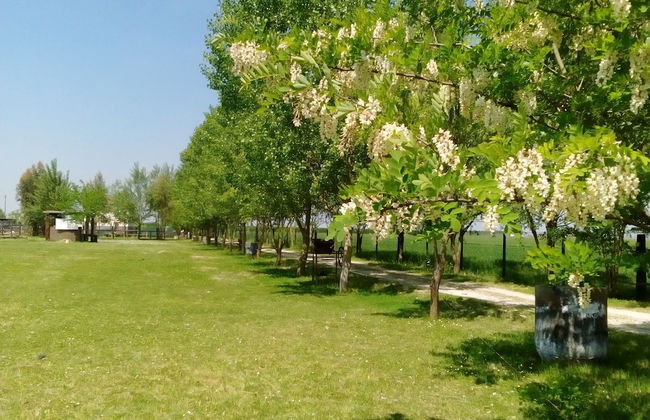 L'Antico Casale dei Sogni - Foto 44