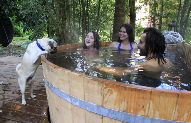 DreamWoods - Foto 24