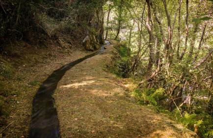Casa da Avó Ana Alvão - Foto 49