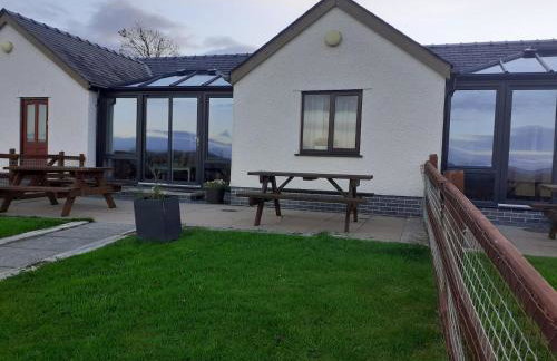 The Calf Suite - Photo 4