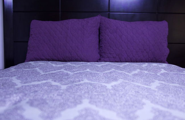 Departamento Céntrico Guadalajara - Foto 15