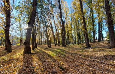 Casa Tía María - Photo 24