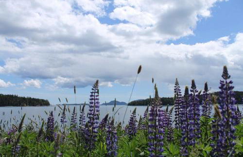 Mark's Waterfront Sea Cottage beach family Acadia - Foto 28