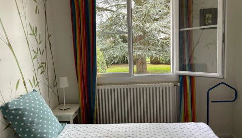 LE MAS maison vue sur Loire jardin 4 - Foto 5