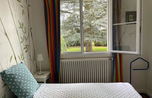 LE MAS maison vue sur Loire jardin 4 - Foto 5