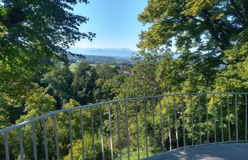 Fürstlich Wohnen im Herrenhaus - Foto 6