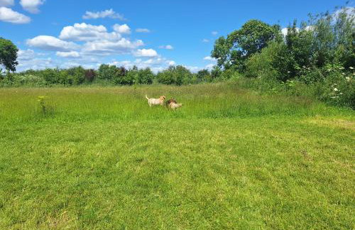Beautiful Wooden tiny house, Glamping cabin with hot tub 2 - Foto 6