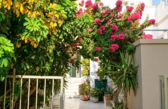 Panorama Studios - Foto 28