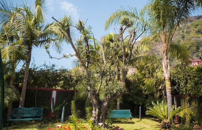 Quinta da Tia Briosa Casa da Av by Homie - Foto 46