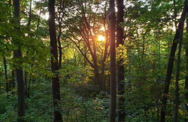 Swaying Pines Cabin w/EV Charger - Foto 36