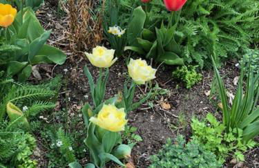 Ferienhaus Neumann - Ein ganzes Haus für Ihren Urlaub! - Foto 18