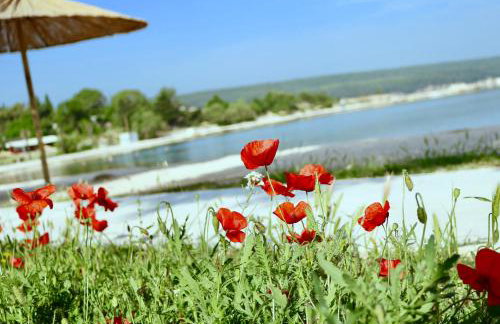 Apartments Cherry - Photo 31