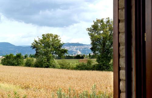 Agriturismo Bellarosa - Photo 45