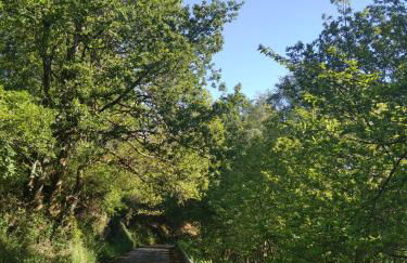 La Posada de Oscos II - Foto 33