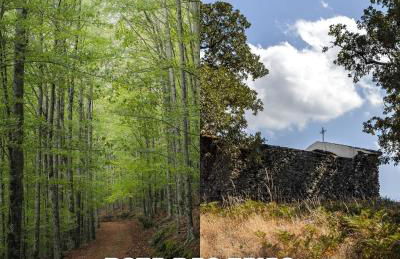 Dona Irene AL - Foto 57