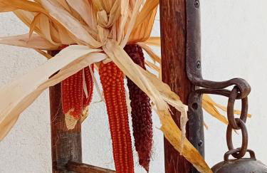 Cà sul dos - Foto 31