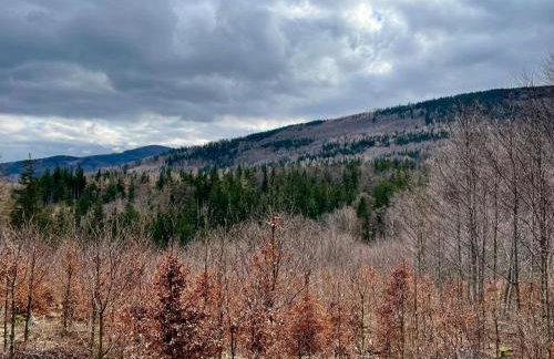 Apartament pod Wielką Sową z Sauną Infrared - Foto 21