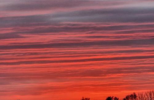 The Horseshoe Cottage - Foto 9