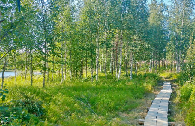 Huitsin nevada - Foto 15