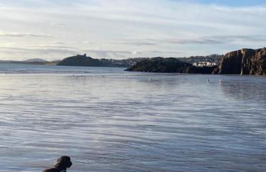 Glasfryn Cottage Dolgellau - Foto 7