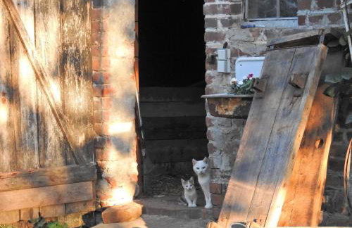 StorchenHof - Foto 22