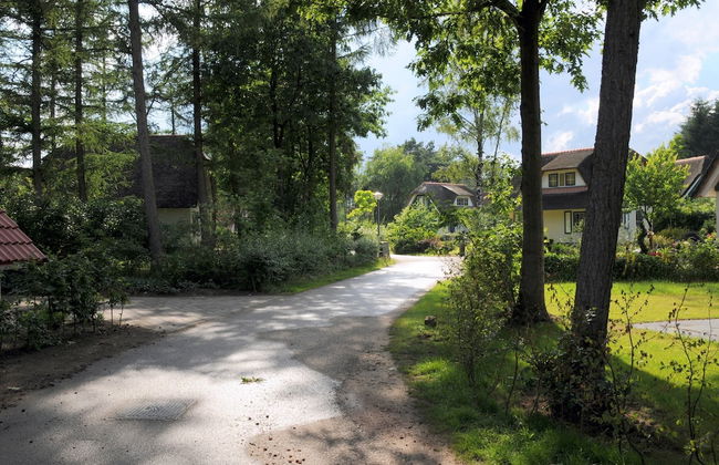 Holiday Home in Heeten Near Forest - Foto 28