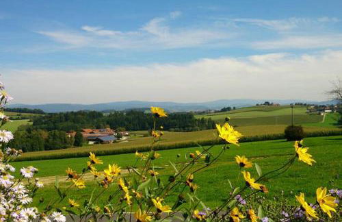 Ferienwohnung im bayerischen Wald - Foto 29