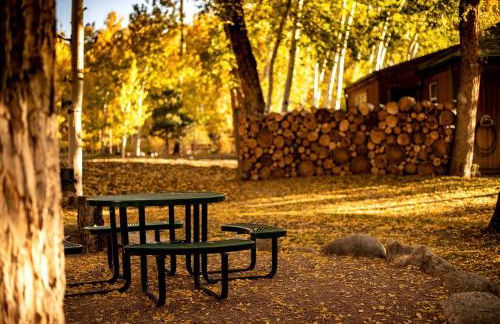 Rustic Camping Cabin near the Royal Gorge in Salida, Colorado - Foto 24