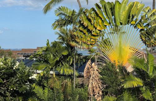 Alii Villas - Photo 31