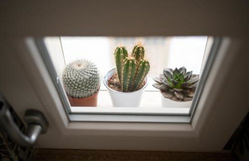 Casa vacanza La Zagara - Foto 47