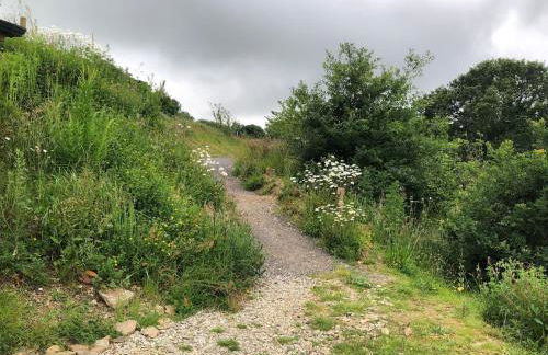 Rabbits ,1 bedroom, Dartmoor Hillside, Eco Hobbit style, Home - Foto 38