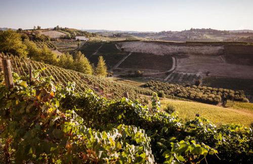 Villa Vinory - La Mandragola - Foto 66