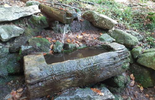 AnNo - Wohlfühlplatzal in da Mauth - Foto 28