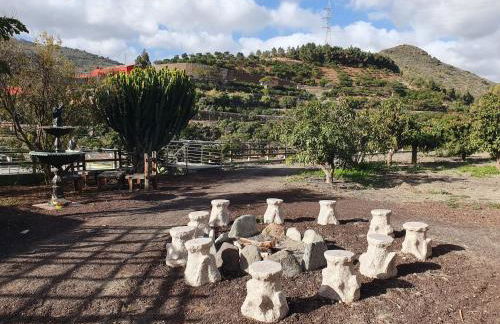 Finca Oasis Holidays & Health - Apartamentos con Rooftop Terrace - Foto 54