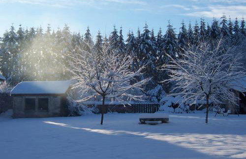 Le Faing Du Bray - Foto 3