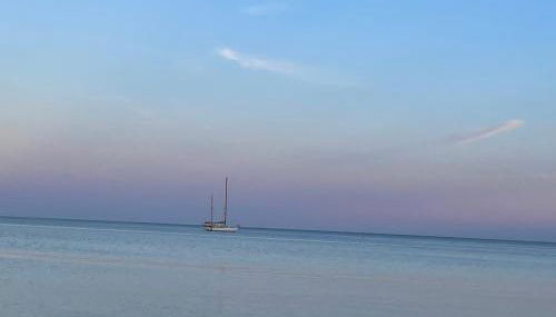 The Potting Shed - Foto 4