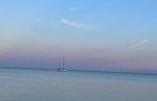 The Potting Shed - Foto 4