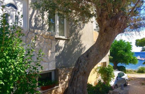 Apartments Suzana - Foto 10