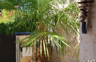 Maison T3 - 2 chambres lits doubles - Foto 21