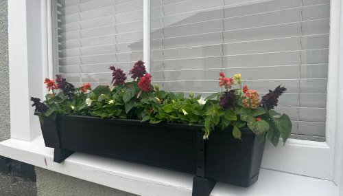 Tredenwith House - Foto 4