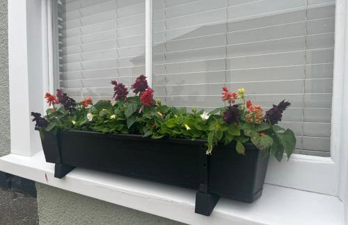 Tredenwith House - Foto 4