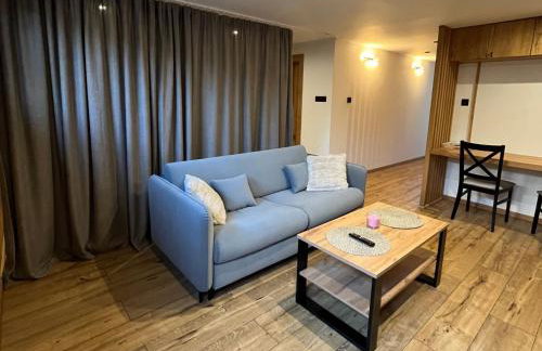 Beskidy Basement Studio - Foto 12