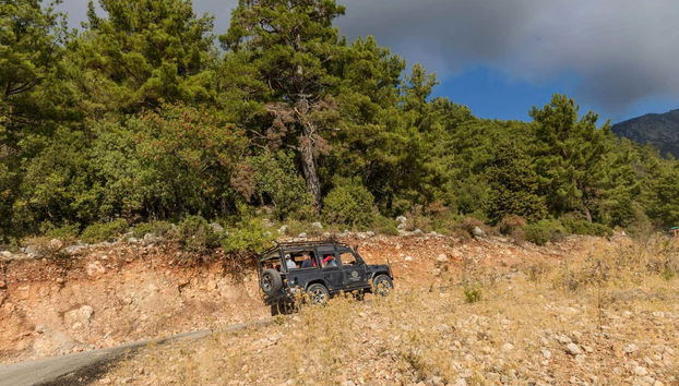 Drive through forest landscapes