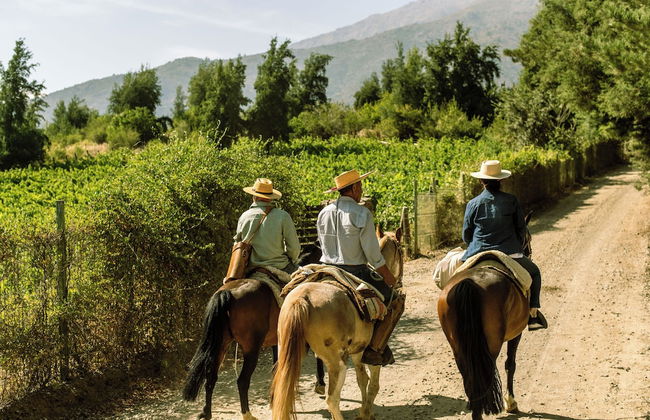 Tumuñan Lodge - Foto 47