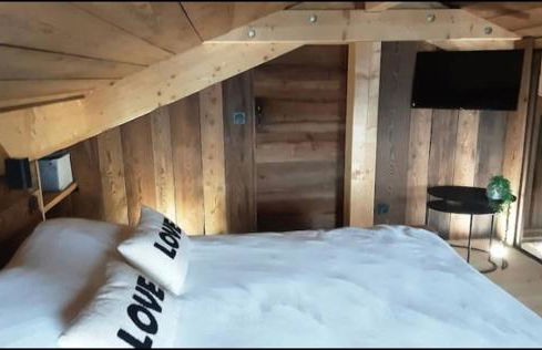 Chalet avec jacuzzi - 150 m des remontées - Foto 22