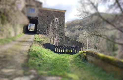 Ollar do Cido - Foto 39