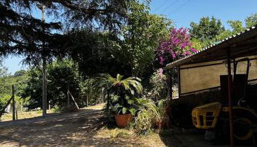 Da Beatrice - Foto 5