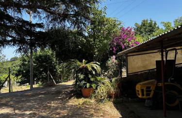 Da Beatrice - Foto 5