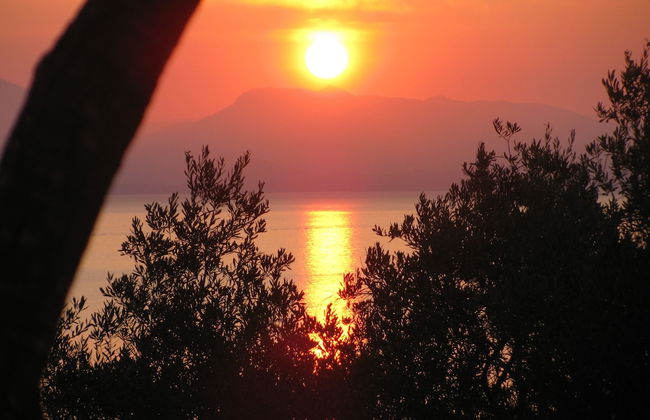 Panorama Notos - Foto 14