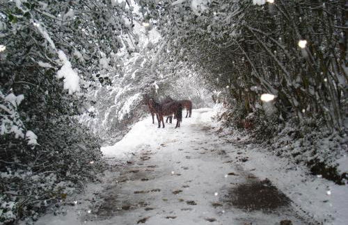 Apartamentos Los Rosales - Foto 44